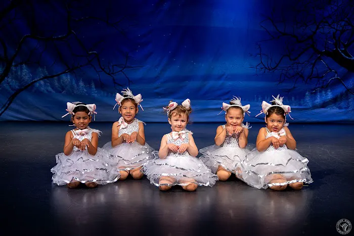Veksler Academy of Music and Dance - Milpitas Picture 9