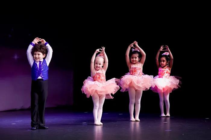 Veksler Academy of Music and Dance - Milpitas Picture 4