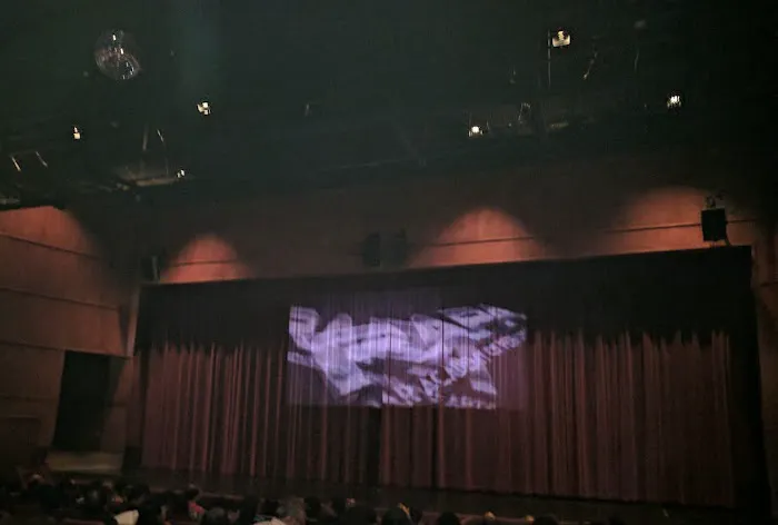 Riar Academy of Performing Arts (RAPA) Picture 1