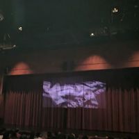 Riar Academy of Performing Arts (RAPA) ico