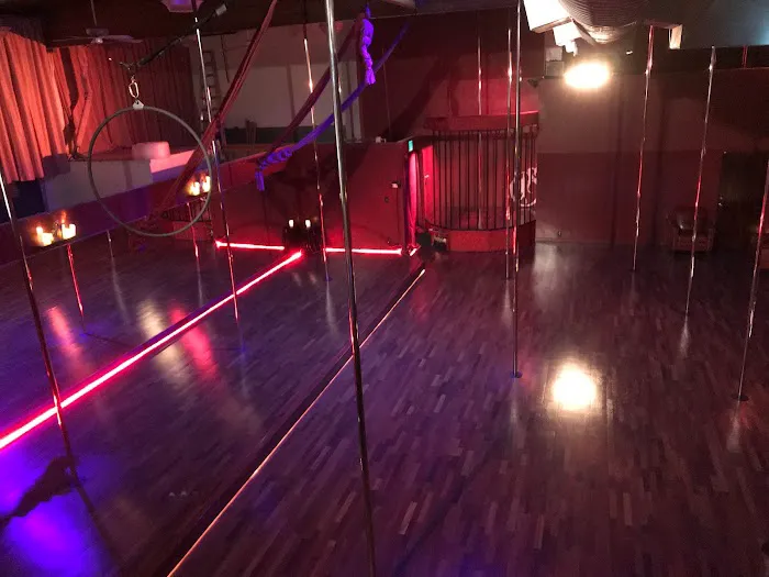 Sedusa Pole Dance Studio San Jose Picture 5