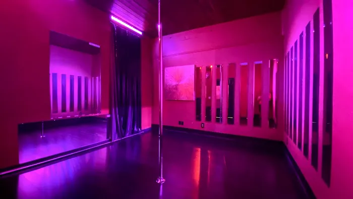 Sedusa Pole Dance Studio San Jose Picture 2