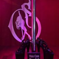 Sedusa Pole Dance Studio San Jose ico