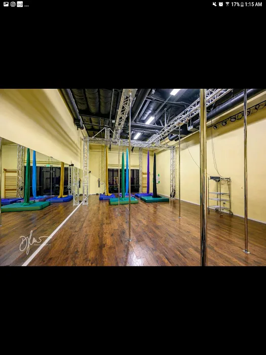 Ly's Pole Studio Picture 3