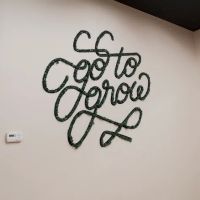 On One Studios ico