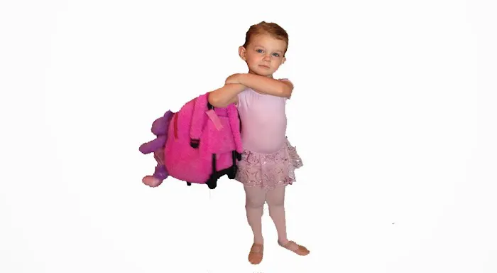 Nor Cal Dance Arts Picture 3