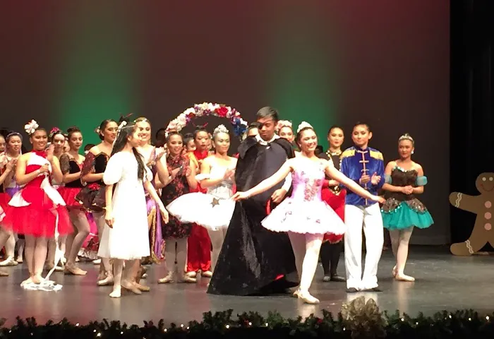 The Joy of Dancing Picture 4