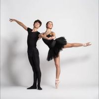Los Gatos Ballet ico
