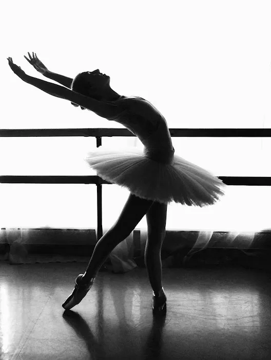 Los Gatos Ballet Picture 7