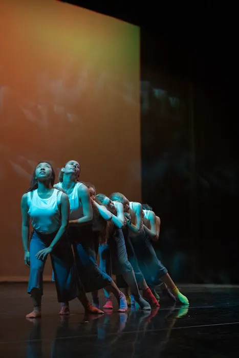 Los Gatos Ballet Picture 8