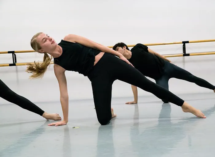 Los Gatos Ballet Picture 3