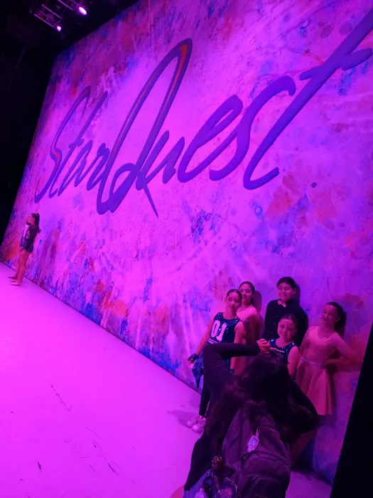 Dance Art Academy Picture 3