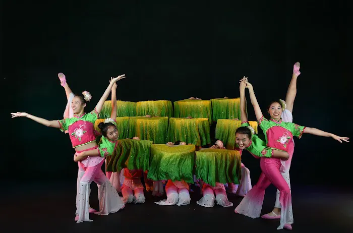Lisa Performing Arts Picture 6