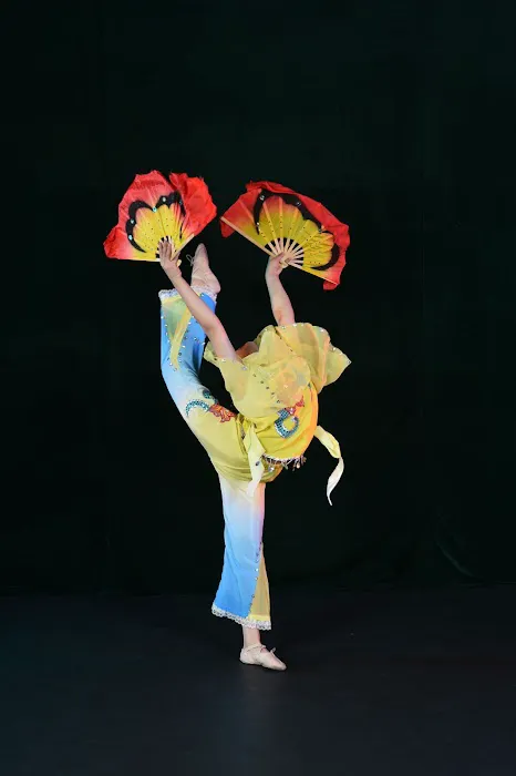 Lisa Performing Arts Picture 2