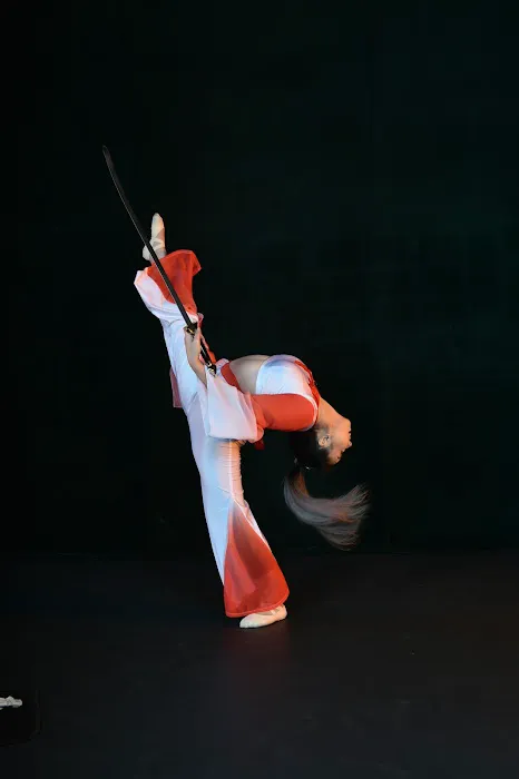 Lisa Performing Arts Picture 7
