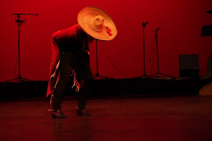 Los Lupenos de San Jose Picture 3