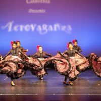 Aerodance ico