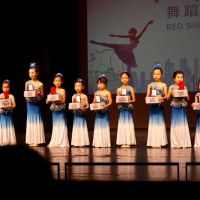 Red Shoes Dance Studio ico