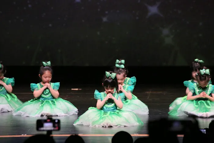 Red Shoes Dance Studio Picture 7