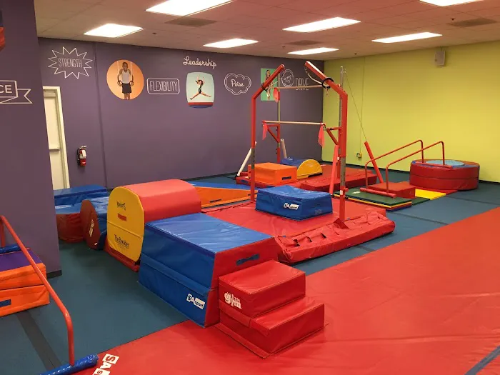 The Little Gym of Evergreen Picture 7
