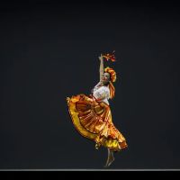 Ballet Folklórico México Danza ico
