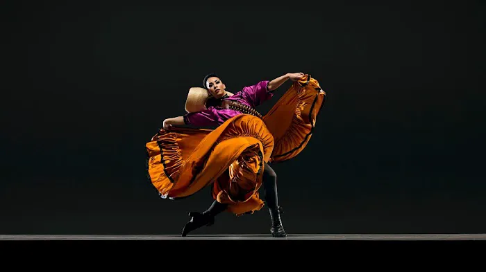Ballet Folklórico México Danza Picture 7