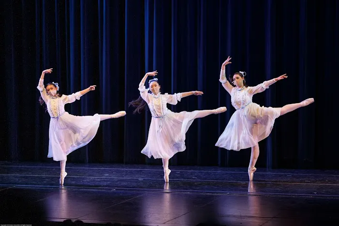 Ballet Petit Picture 1
