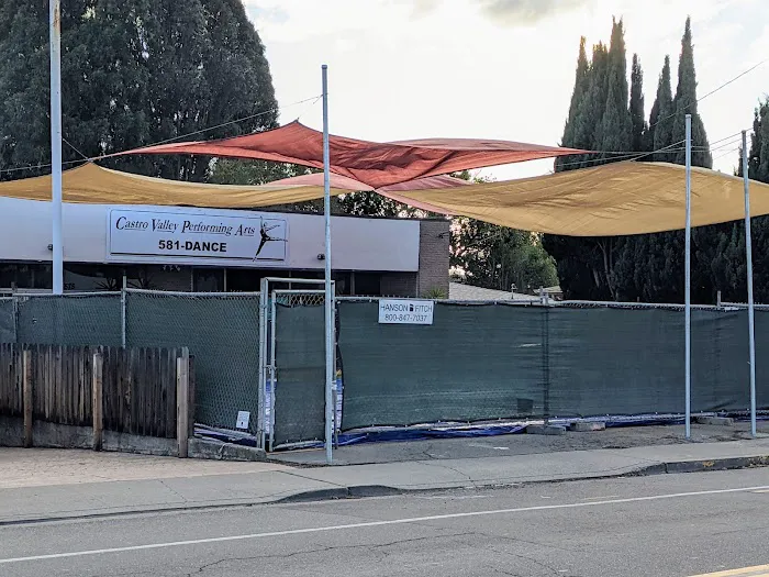 Castro Valley Performing Arts Picture 2