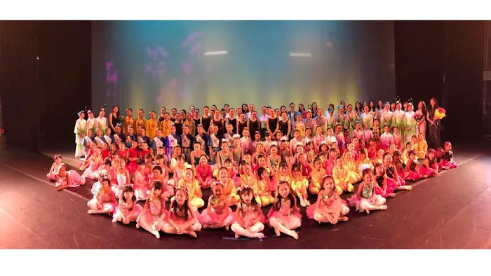 Ms Wei Asian Cultural & Performing Arts Academy Picture 3