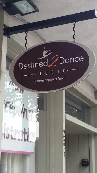 Destined 2 Dance Picture 1