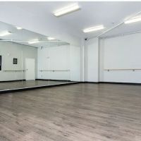 HEAT DANCELINE ico
