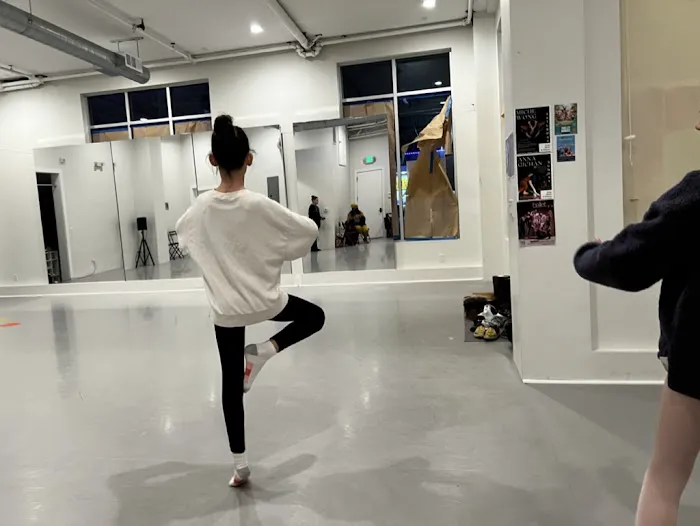 BlackBox Studios - Ballet & Dance Studio Picture 7