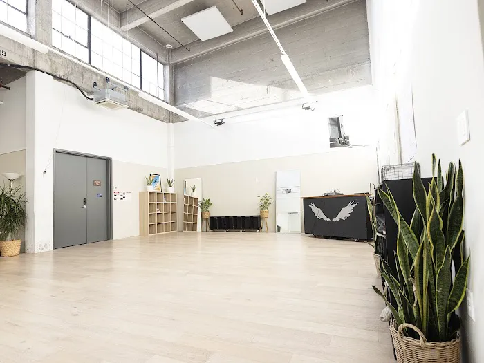 The Omni Movement - Dance Studios Picture 3