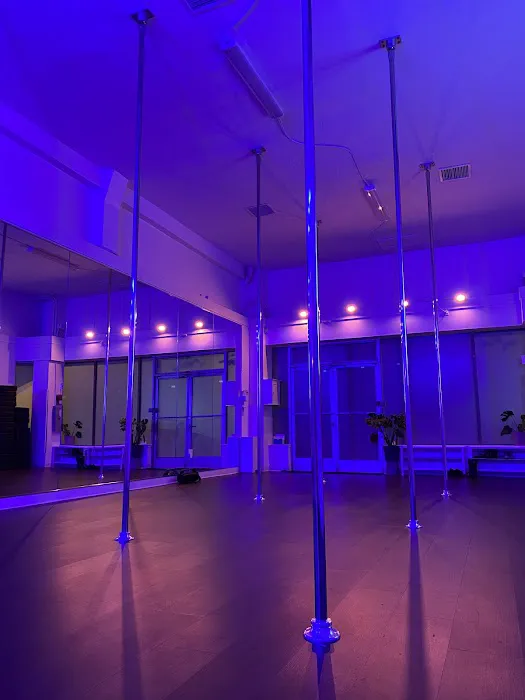 Oakland Pole + Dance Picture 9