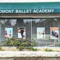 Piedmont Ballet Academy ico