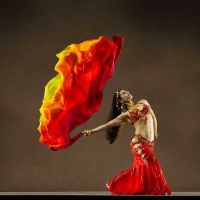 Shabnam's Bellydance Classes ico