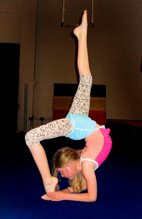 Kinetic Arts Center Picture 8