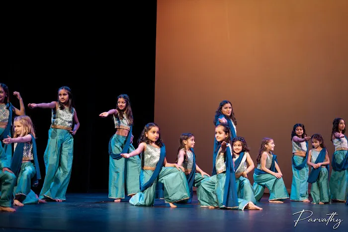 Bollywood Dance Central Picture 2