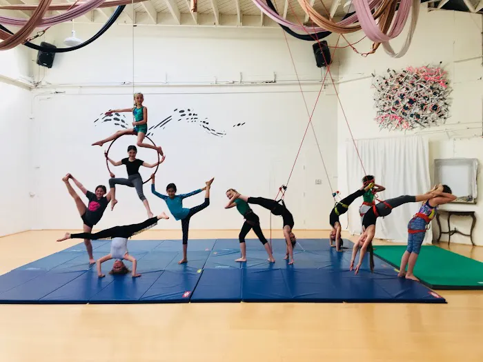 Tea Dancers - Aerial Dance Academy Picture 6