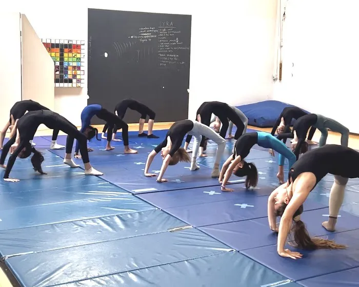 Tea Dancers - Aerial Dance Academy Picture 7
