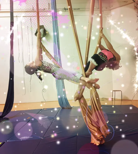 Tea Dancers - Aerial Dance Academy Picture 1