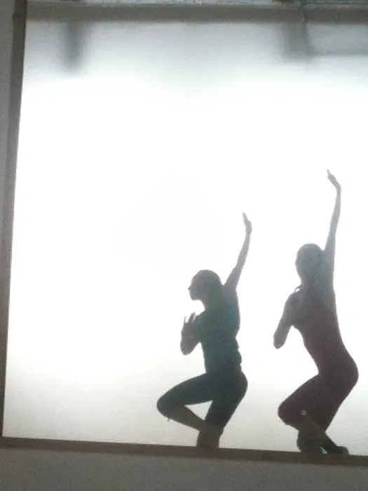 Tea Dancers - Aerial Dance Academy Picture 9