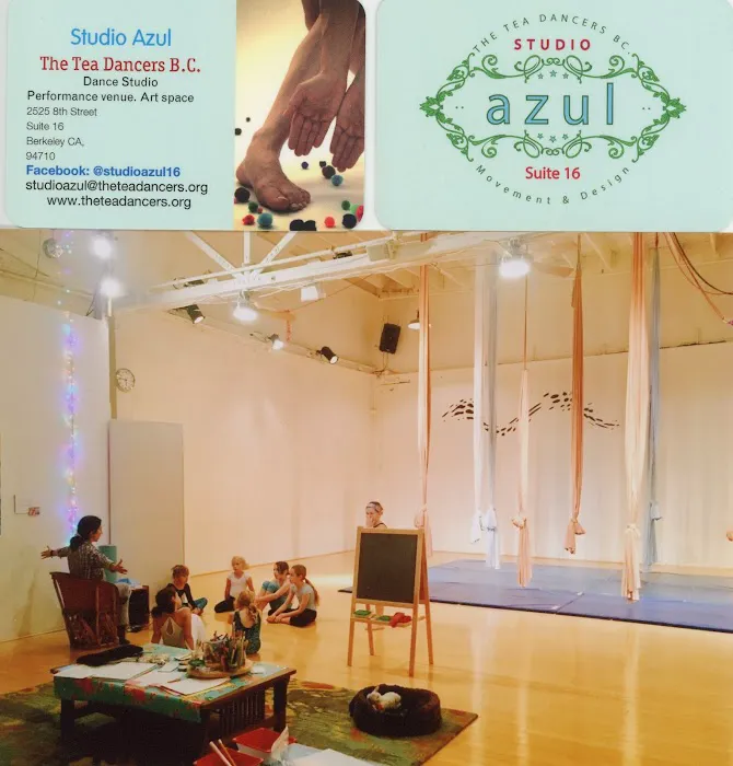 Tea Dancers - Aerial Dance Academy Picture 4