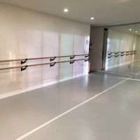 Van der Zwaan Dance Studio ico
