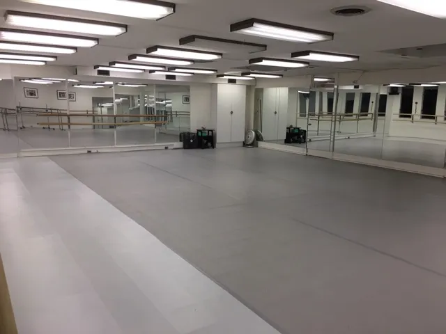 Van der Zwaan Dance Studio Picture 3