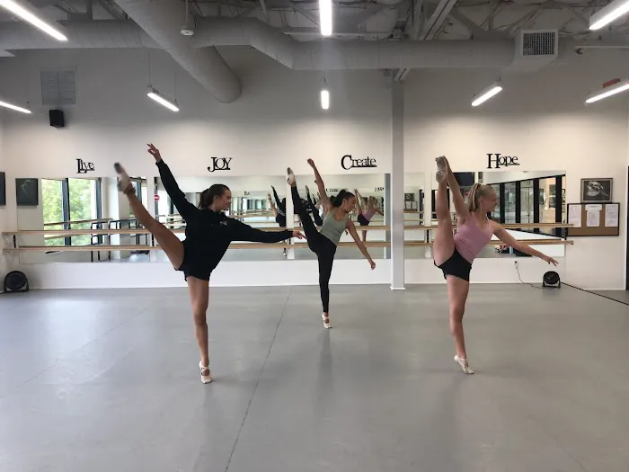 The Ballet School Performing Arts Picture 1