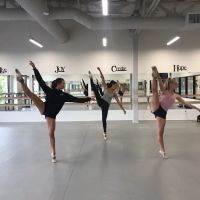 The Ballet School Performing Arts ico