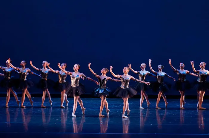 Contra Costa Ballet Centre Picture 5