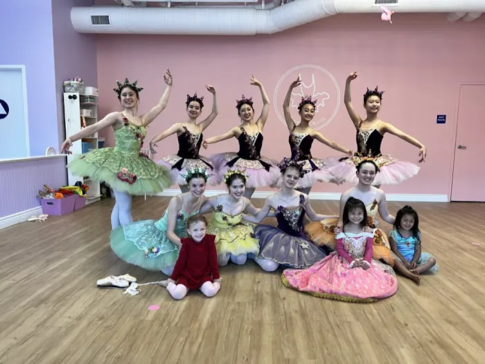 Tutu School Walnut Creek Picture 7