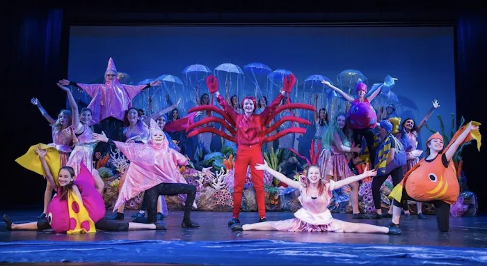 Starlight Dance Studios and Theater Picture 2